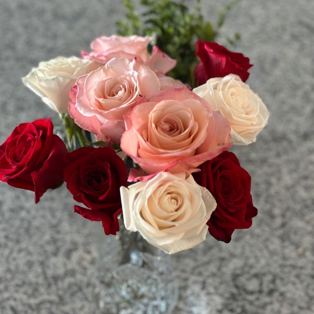 Meet your Posher, Rebecka